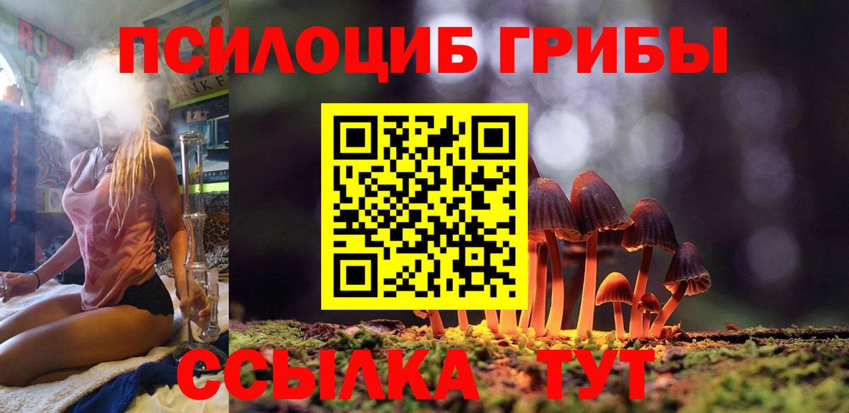 Псилоцибиновые грибы прущие грибы  Вход с VPN  где продают   Галлюциногенные грибы мицелий  Надым 