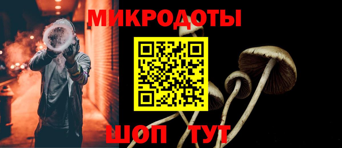 Галлюциногенные грибы Psilocybine cubensis Надым